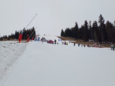 Raiffeisen-Osttirol-Cup-Alpin RSL Schüler/Kinder
