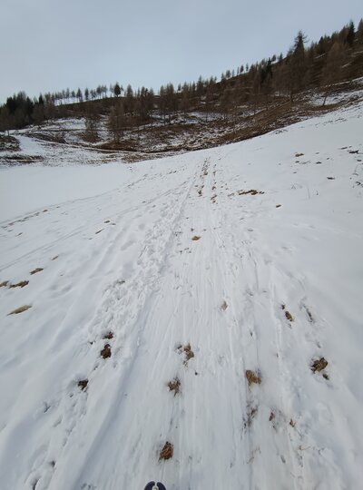SCL Zettersfeld Trophy 2026 - Tourenskilauf für Jedermann(Frau) Abgesagt