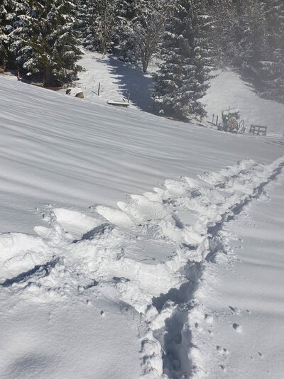 Kinderschikurs Semesterferien  14.02.-17.02.2022